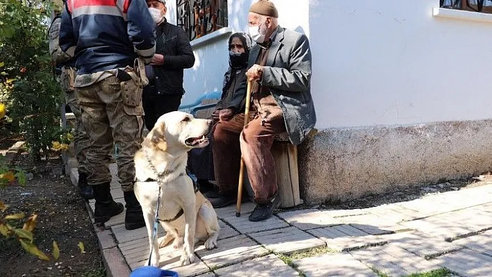 83 yaşındaki kayıp kadını iz takip köpeği 'Dost' buldu