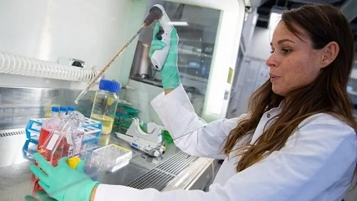 ABD'de 15 dakikada sonuç veren hızlı Covid-19 antijen testi üretilecek