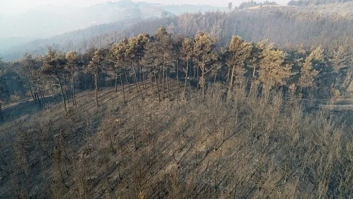 Adana Kozan'daki orman yangını sürüyor