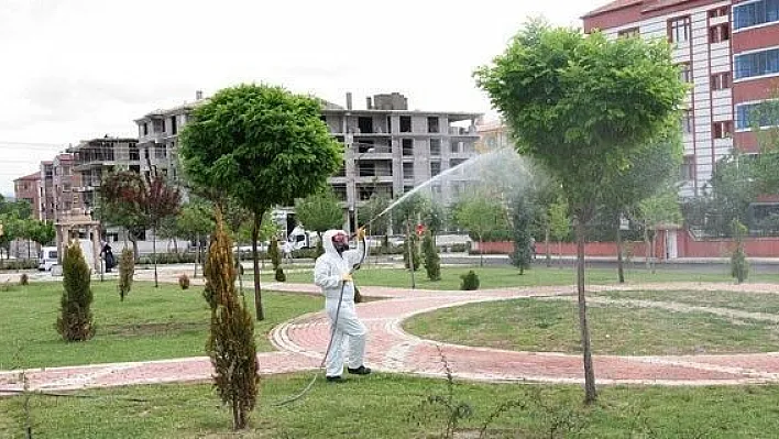 Ağaç Ve Bitkilere Zirai İlaçlama