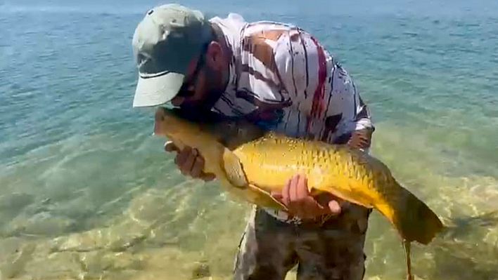 Amatör balıkçı 15 kiloluk sazanı öperek suya bıraktı