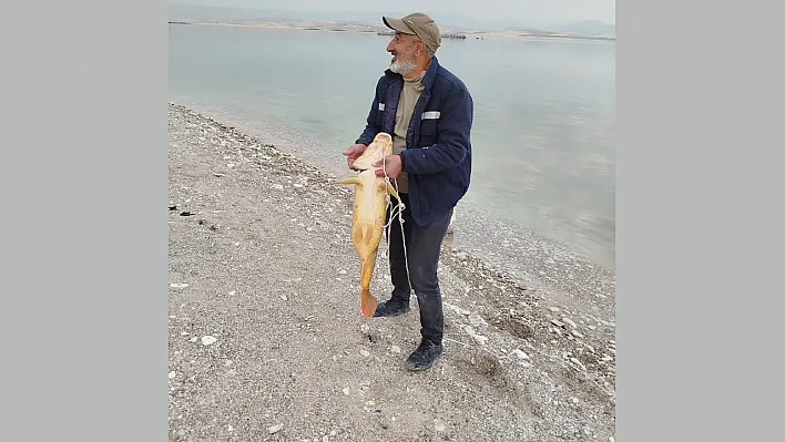 Amatör balıkçıdan büyük av