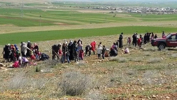 Anaokulu öğrencileri fidan dikti