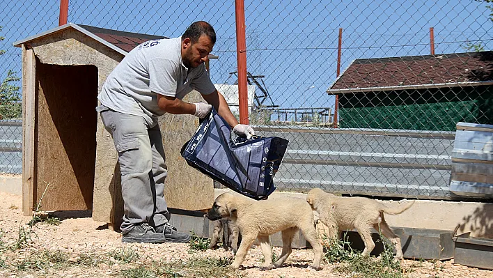 'Asılsız iddia' mahkemeden döndü