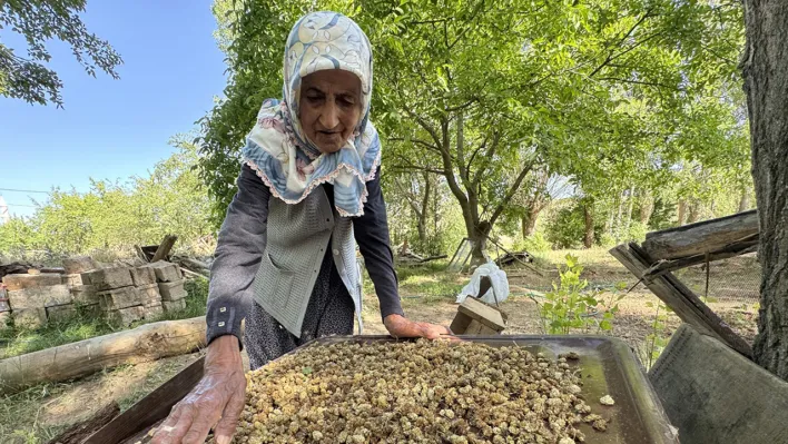 Asırlık İmoş nine bahçesinden kopamıyor