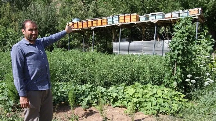 Ayılar balını yiyince çareyi bakın nasıl buldu