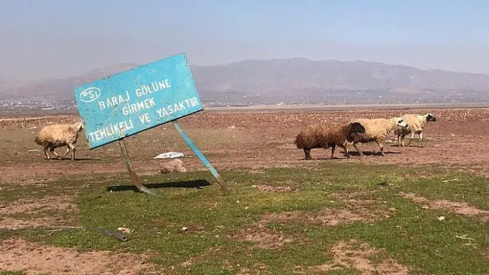 Baraj sahasını eken çiftçileri 'yağış' endişesi sardı