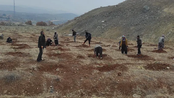 Elazığ'da fidanlar toprakla buluştu