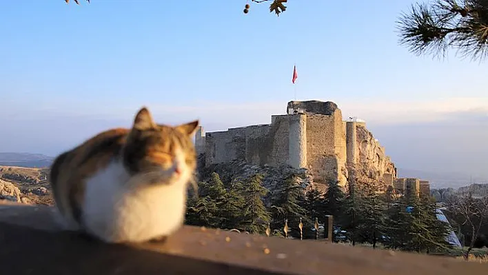 Bayramın ilk günü Elazığ'da hava durumu