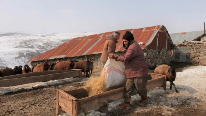 Besicilerin kış mesaisi sürüyor