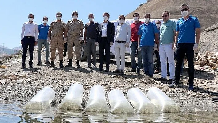 Beyhan Barajı'na 50 bin sazan yavrusu bırakıldı