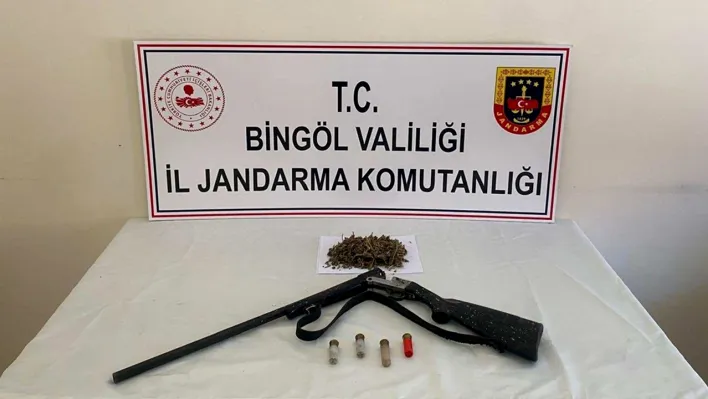 Bingöl'de kenevir operasyonu