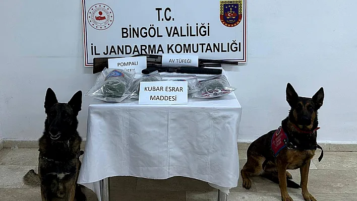 Bingöl'de uyuşturucu operasyonu