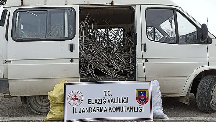 Jandarma, hırsızı yakaladı