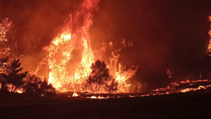 Çanakkale'de orman yangını