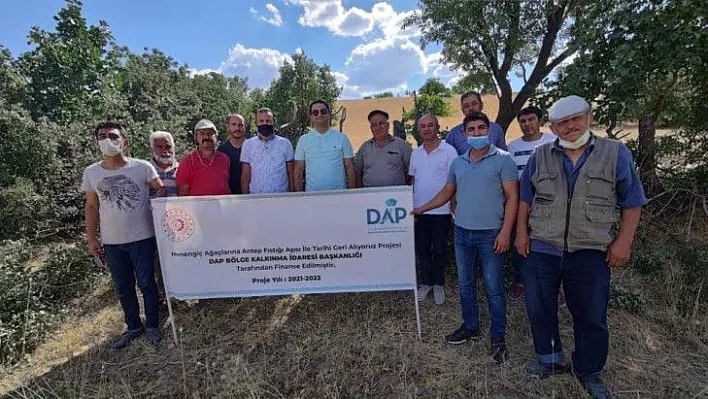 Çemişgezek fıstık üretim merkezine dönüşüyor