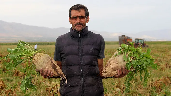 Çiftçiler taban fiyatından memnun