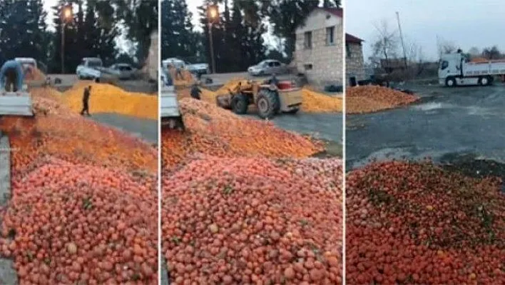 Çürümüş portakallar meyve suyu olacak