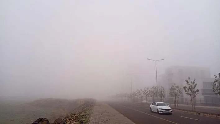 Diyarbakır'da hava yolu ulaşımına sis engeli