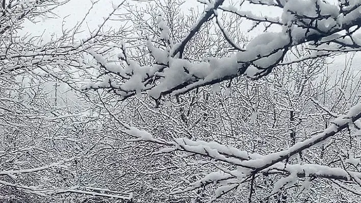 Elazığ'a lapa lapa kar yağdı