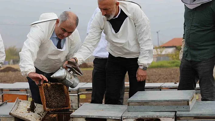Elazığ arı kovanları incelendi