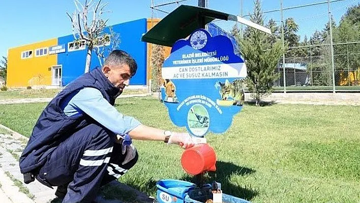 Elazığ Belediyesi sokak hayvanlarını unutmadı