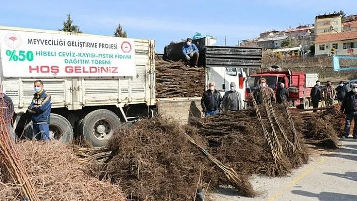 Elazığ'da 13 bin fidan dağıtıldı