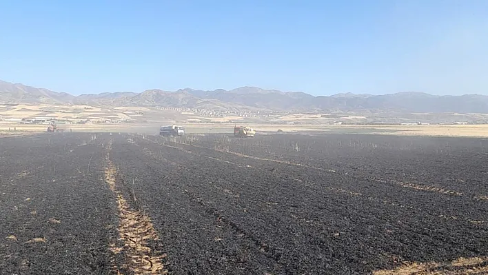 Elazığ'da 50 dönüm buğday ve arpa ekili alan yandı