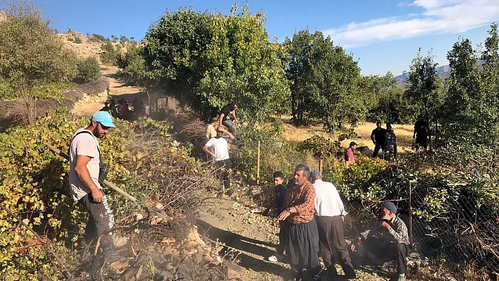 Elazığ'da ağaçlık alanda yangın: Vatandaşlar seferber oldu