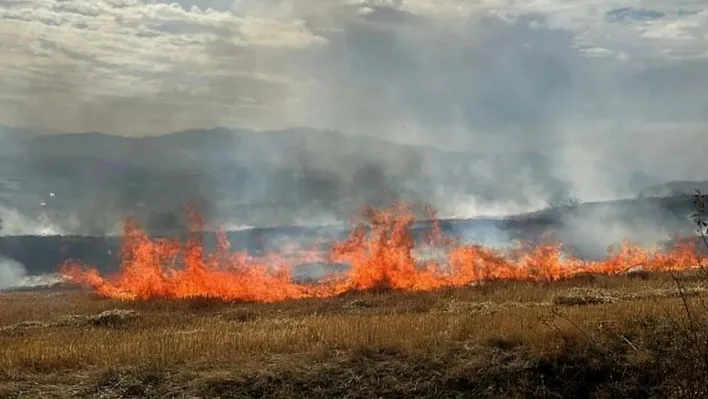 Elazığ'da anız yangını