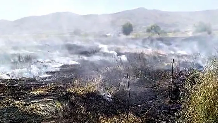 Elazığ'da arazi yangını