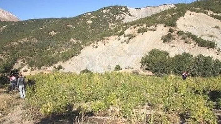 250 Askerle Uyuşturucu Operasyonu