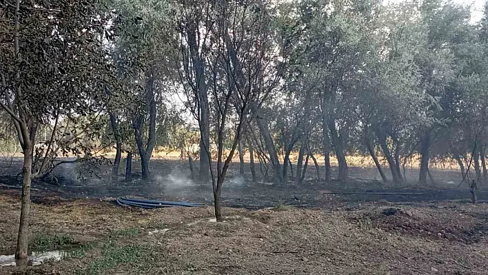 Bahçe yangını korkuttu