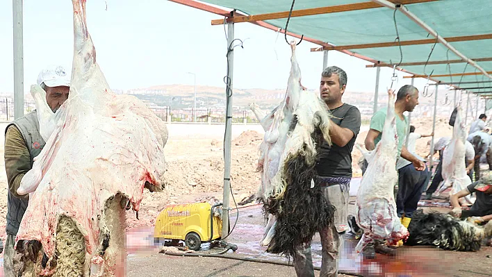 Elazığ'da bayramın 3. gününde kurban kesimi