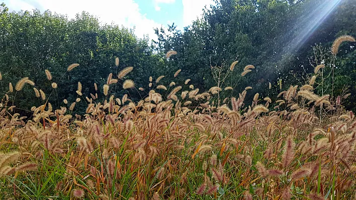 Elazığ'da bugün hava nasıl olacak?