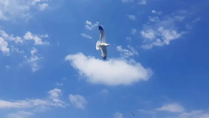 Elazığ'da bugün hava nasıl olacak?