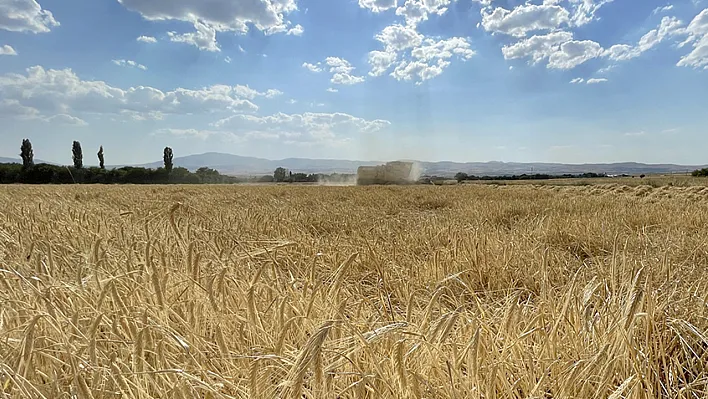 Elazığ'da bugün hava nasıl?