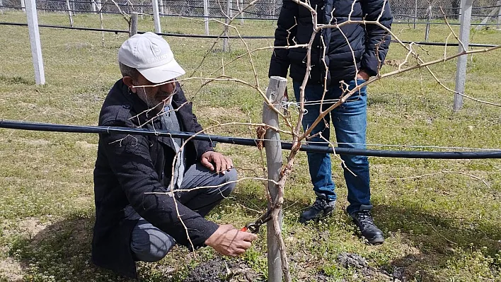 Elazığ'da çiftçilere eğitim