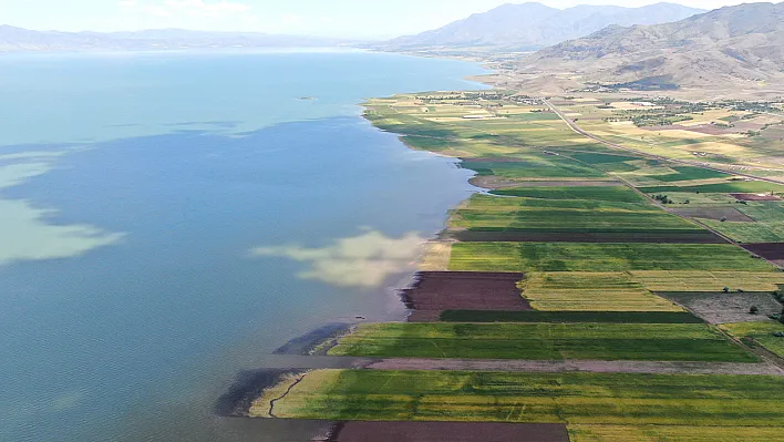 Elazığ'da çiftçinin umudu yine barajda boğuldu