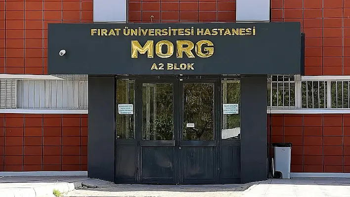 Elazığ'da dağ yürüyüşü faciayla bitti