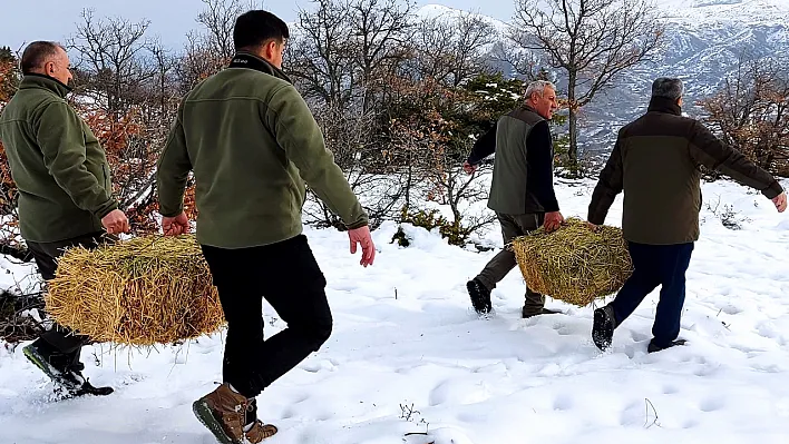 Elazığ'da doğal yaşama destek