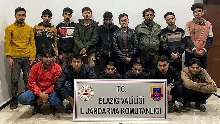 Elazığ'da düzensiz göçmen operasyonu