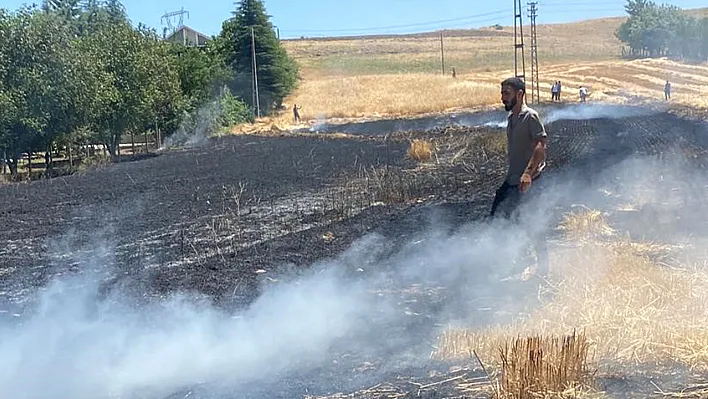 Elazığ'da ekili alan küle döndü