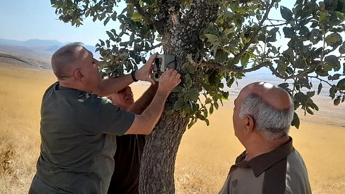 Elazığ'da fotokapanlara bakım