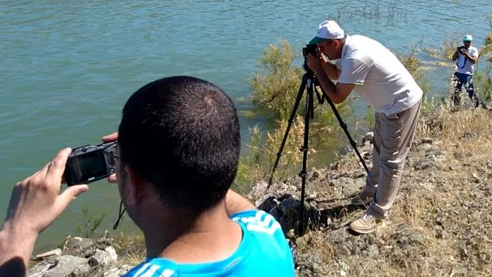 Elazığ'da 'fotosafari' etkinliği