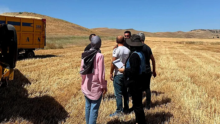 Elazığ'da hasat denetimleri sürüyor