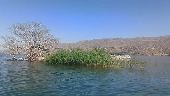 Elazığ'da hava bugün nasıl olacak?