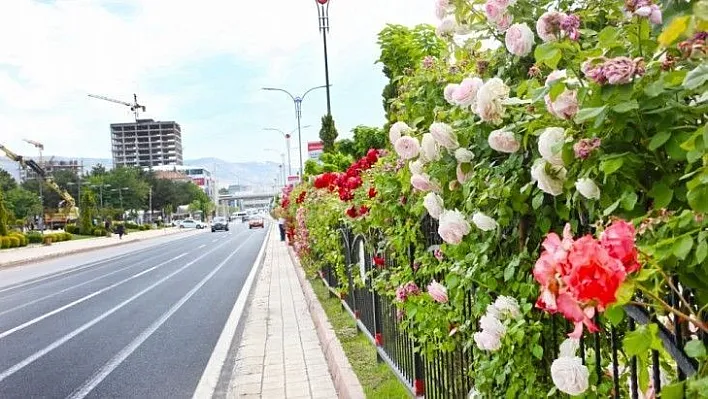 Elazığ'da hava bugün nasıl olacak? 07 Ekim 2020