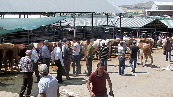 Elazığ'da hayvan borsası kapatıldı