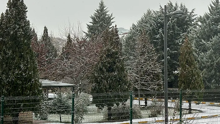 Elazığ'da kar yağışı